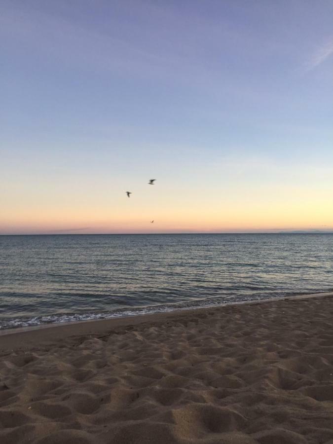 Jm Vacances Сериньян Экстерьер фото